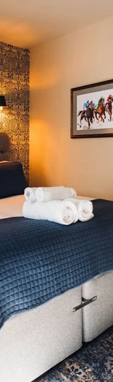 Classic Twin/Double - Pet Friendly Classic Twin/Double - Pet Friendly